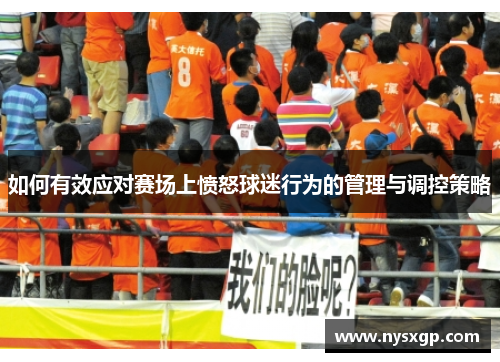 如何有效应对赛场上愤怒球迷行为的管理与调控策略
