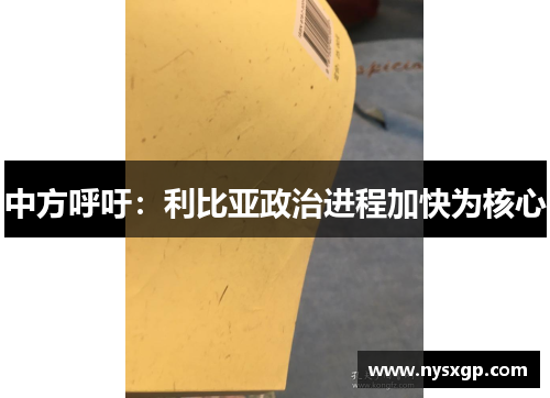 中方呼吁：利比亚政治进程加快为核心