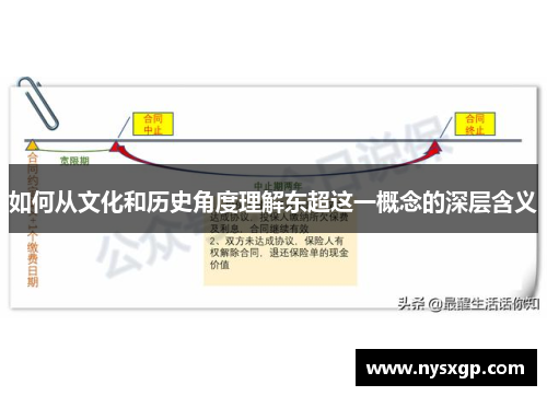 如何从文化和历史角度理解东超这一概念的深层含义